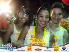 Bloco Skol Folia